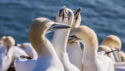 开云网址入口-转会截止日：五大联赛“超级交易”盘点，五大联赛转会期结束时间