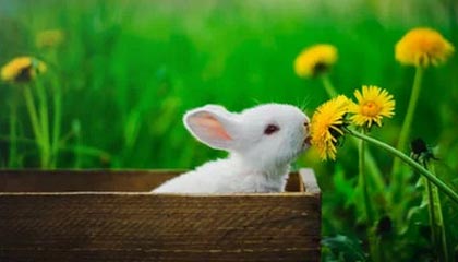 开云网址入口-转会截止日：五大联赛“超级交易”盘点，五大联赛转会期结束时间