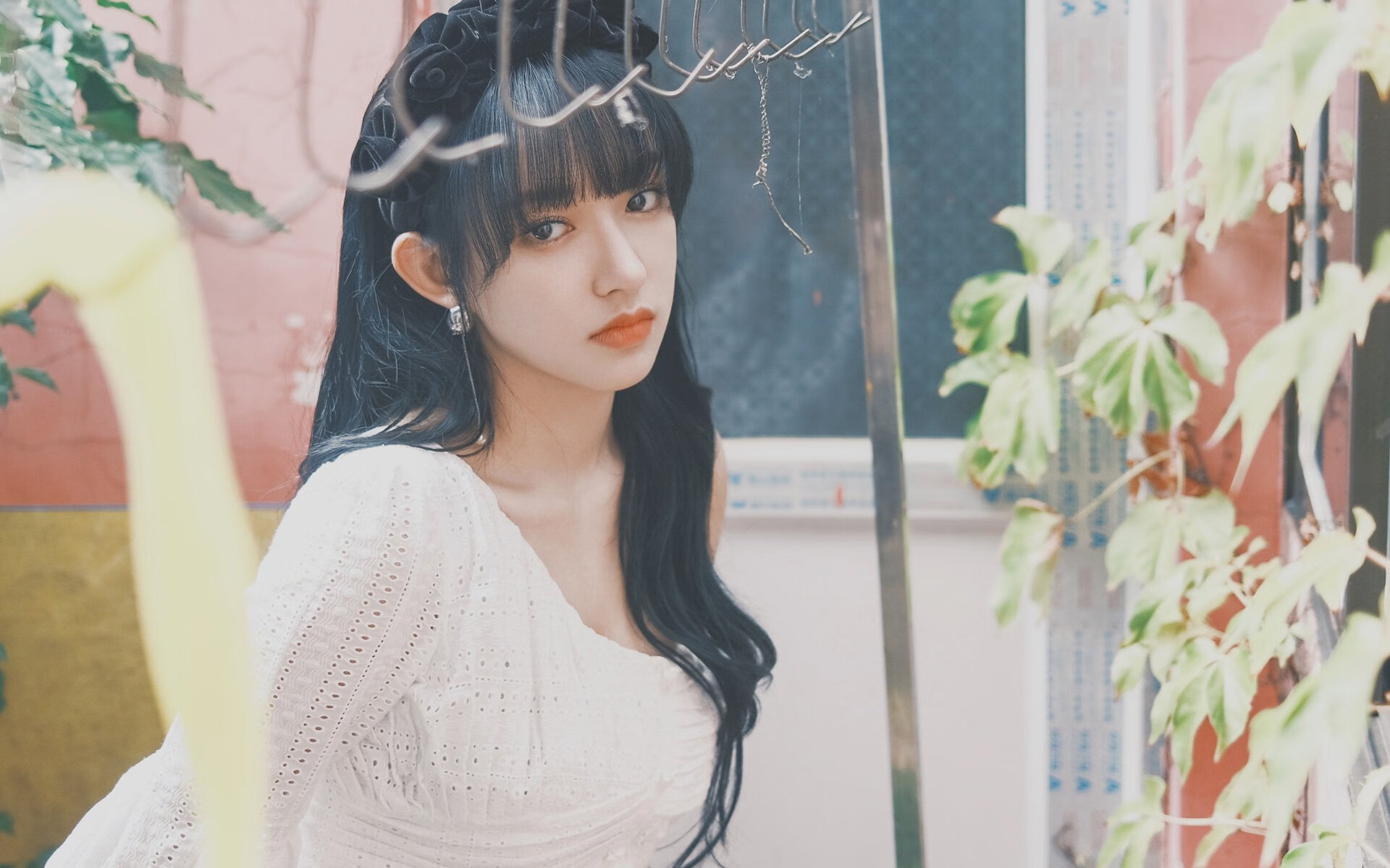 彩虹瀑布赛跑：自然中的色彩追逐，彩虹瀑布的水从哪来