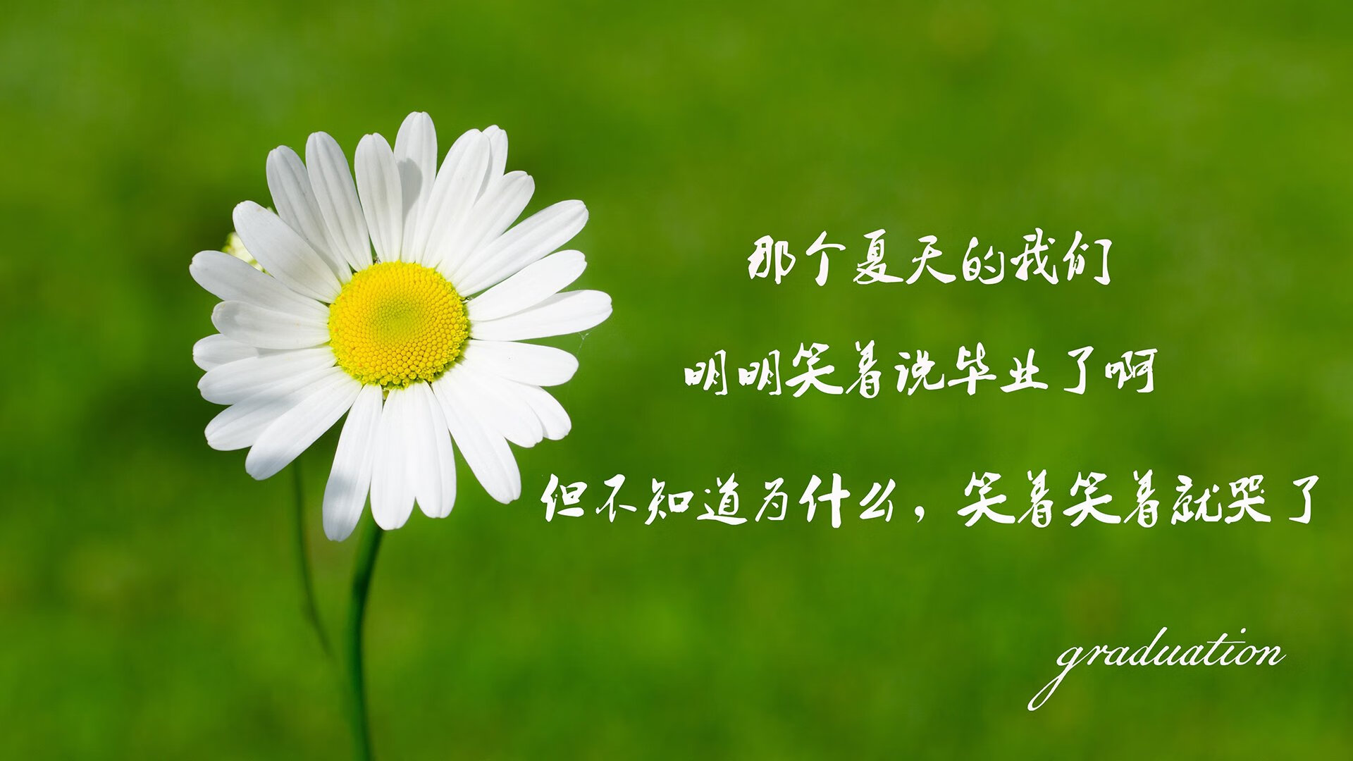 kaiyun官方网站-法甲夜战高潮不断，精彩射门和精彩扑救成为焦点，法甲全场