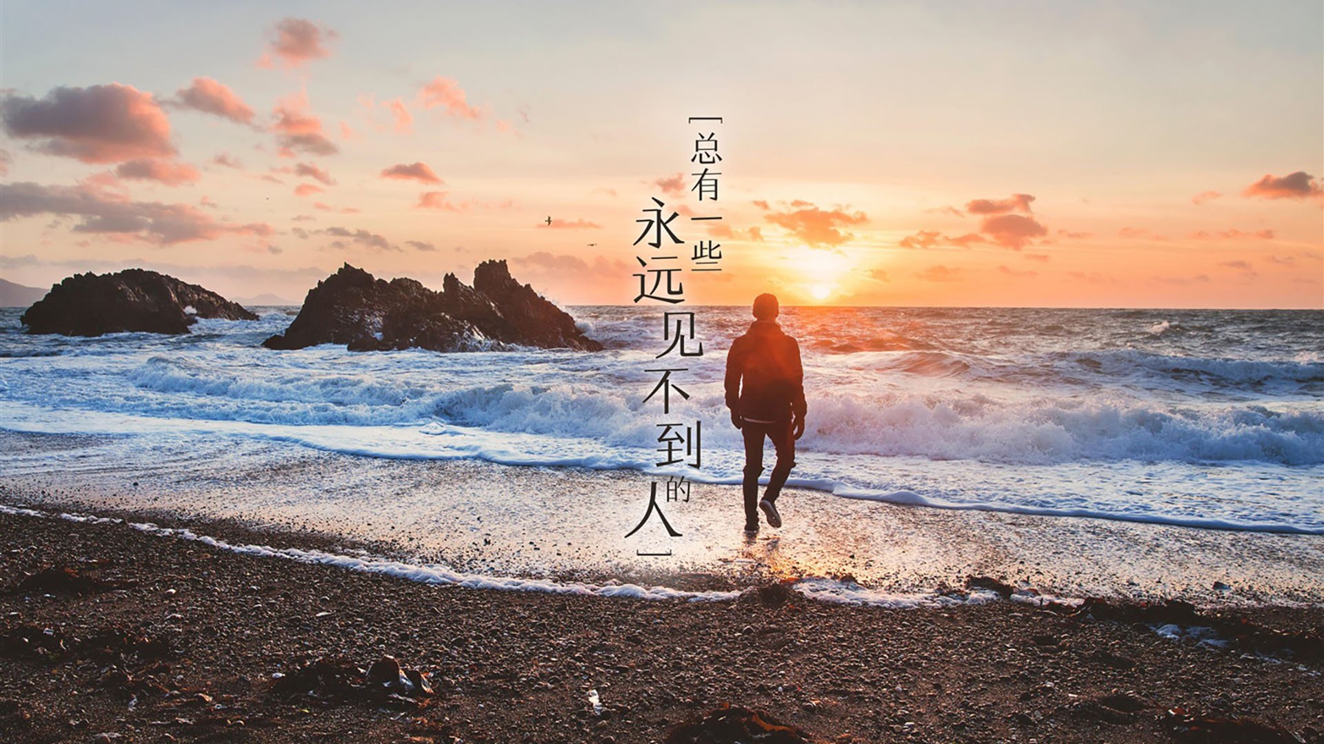 kaiyun体育综合-本菲卡新赛季目标明确，本菲卡阵容最新