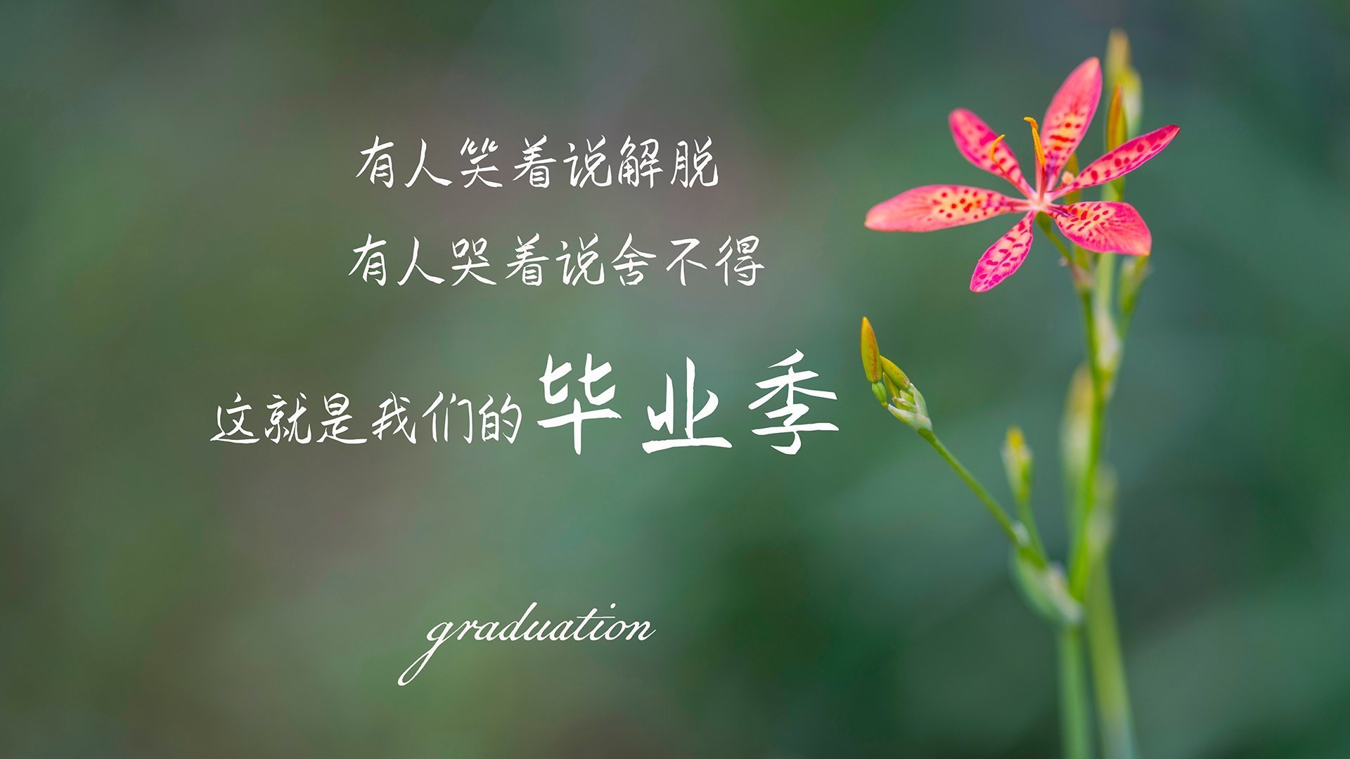 开云网页版-深度解析滑雪国家队分组战略部署，滑雪国家队名单