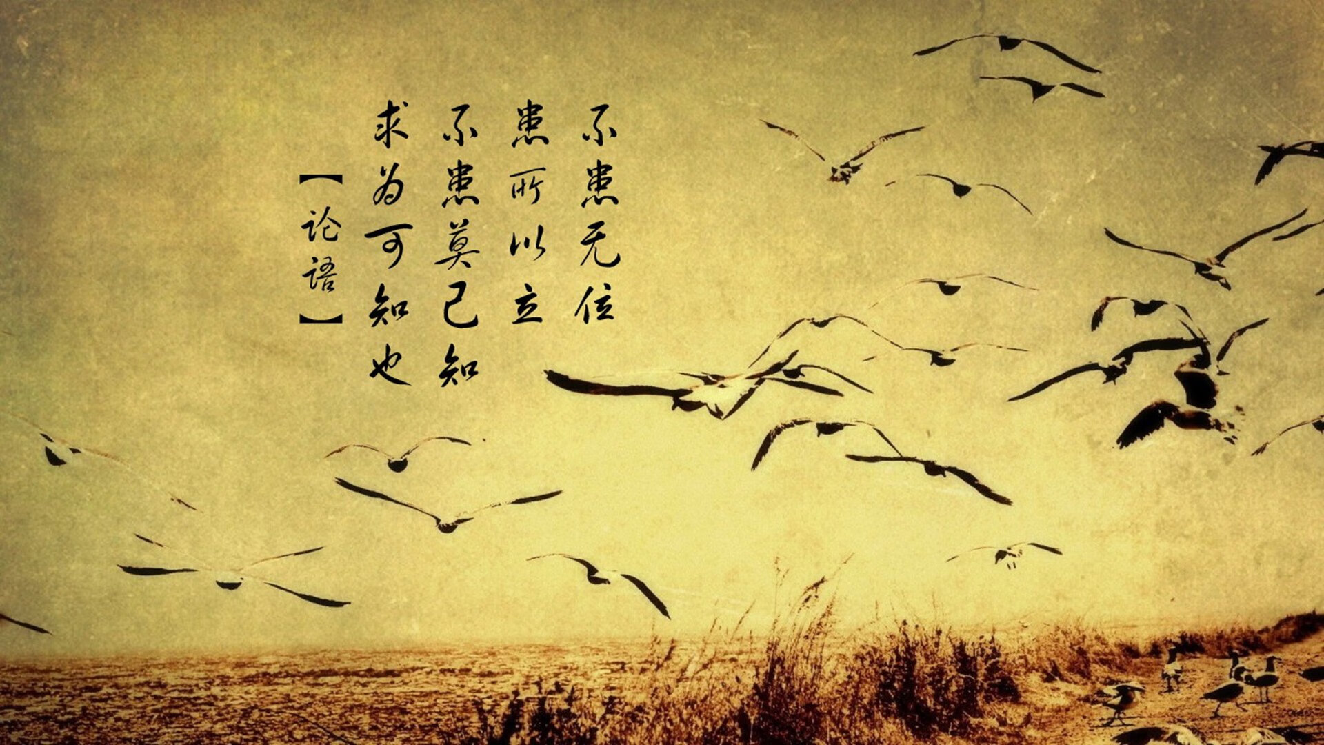 中国篮球青少年篮球人才选拔标准研究，中国青少年篮球技能等级认证中心官网