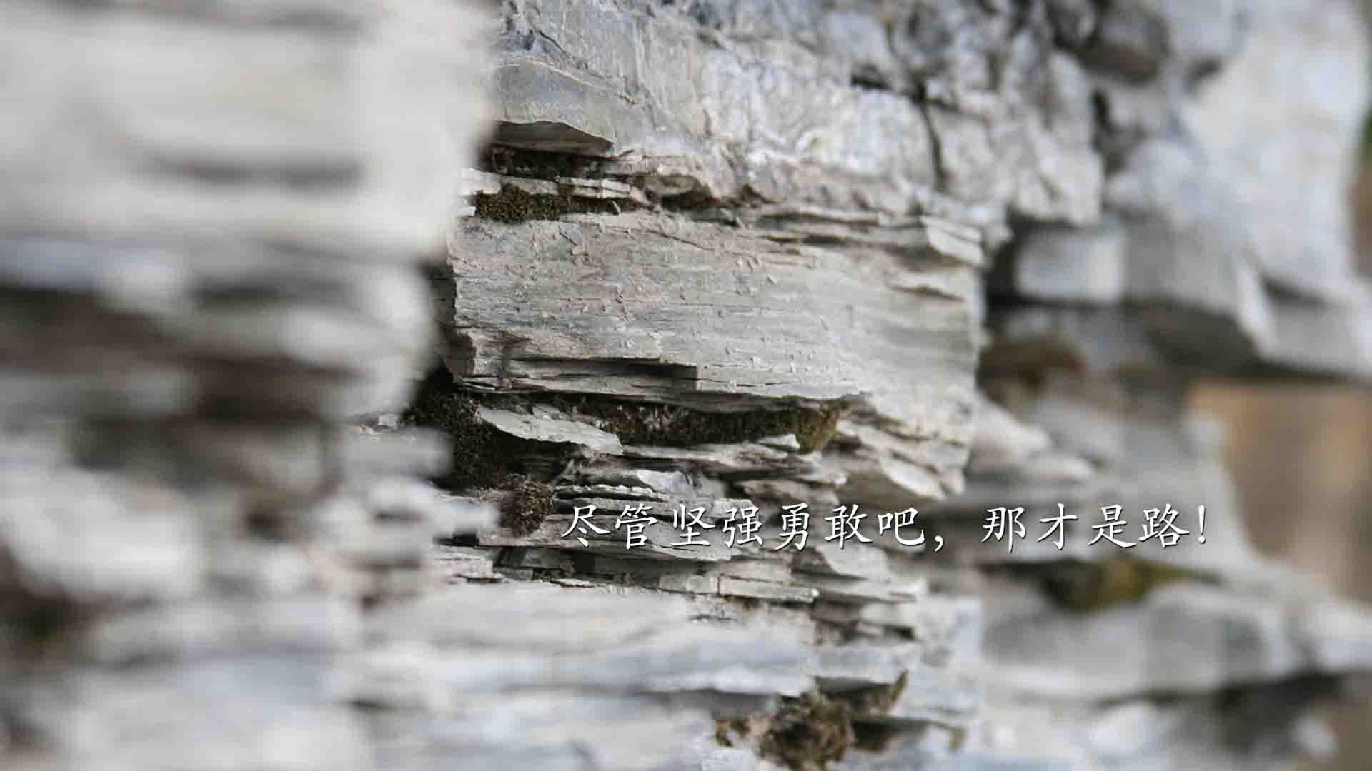 法甲俱乐部赞助合同条款创新提升转播价值，法甲联赛赞助商追c77点tv