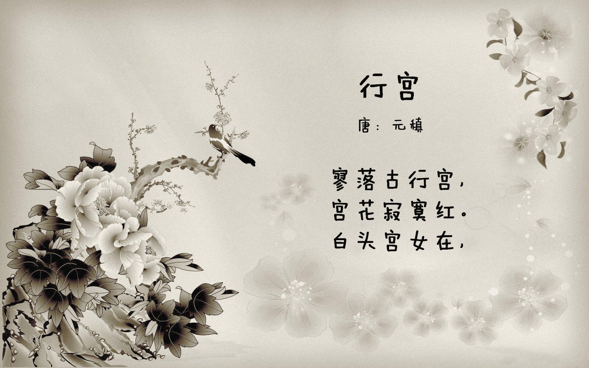 博卡寻找锋线爆点，增强终结能力，博卡的主场名称是什么