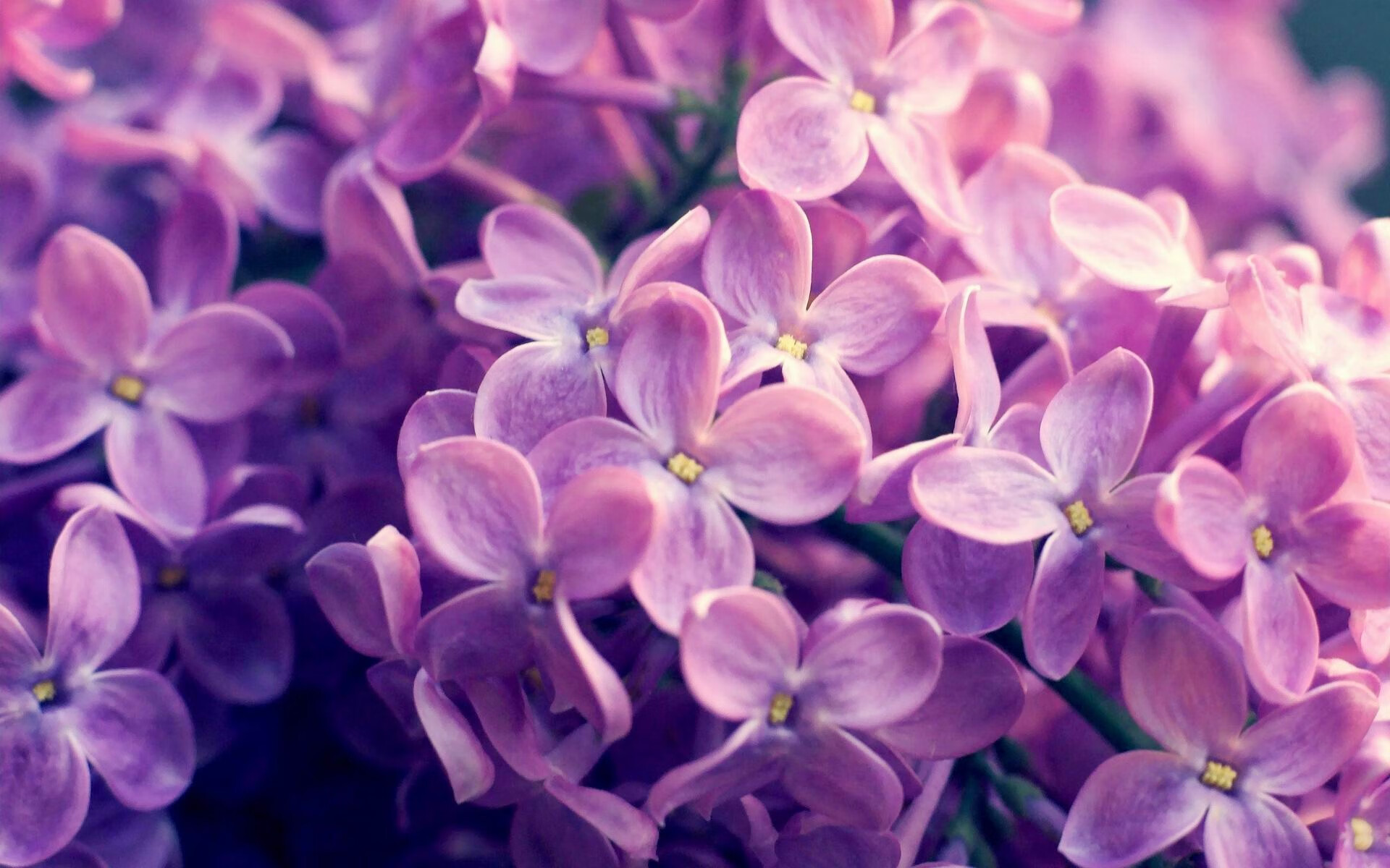 Kaiyun(中国)开云-中国足球青少年足球赛事推广取得新突破，中国 青少年足球