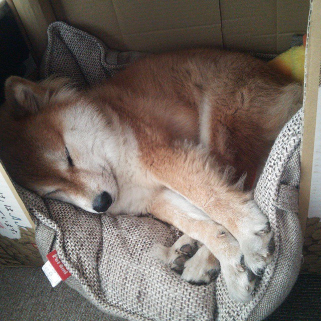 技术统计支持变阵策略教练团队逐步探索新战术可能