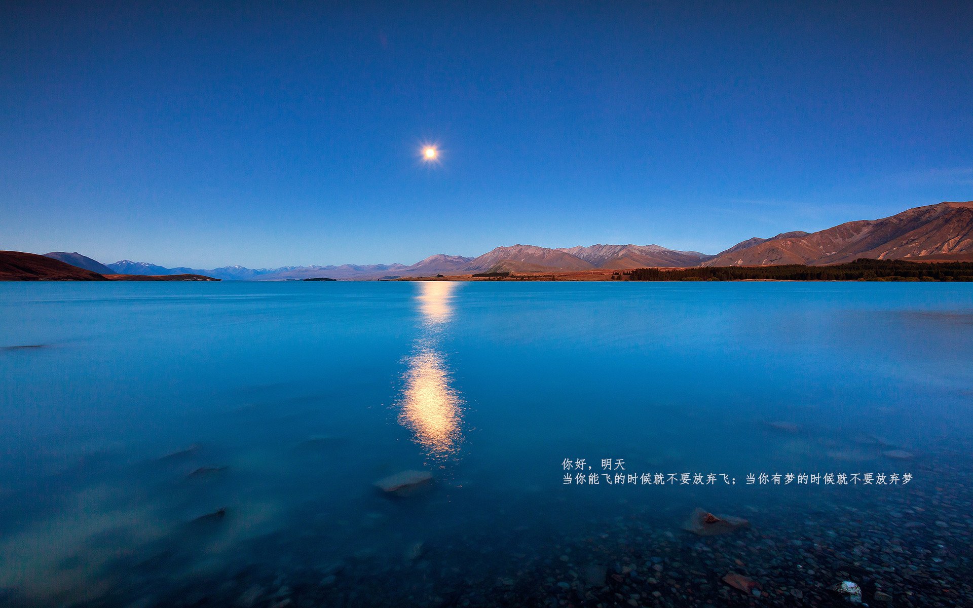 开云网页版-法甲期待无限：新星崛起，未来可期！，法甲新赛季宣传片