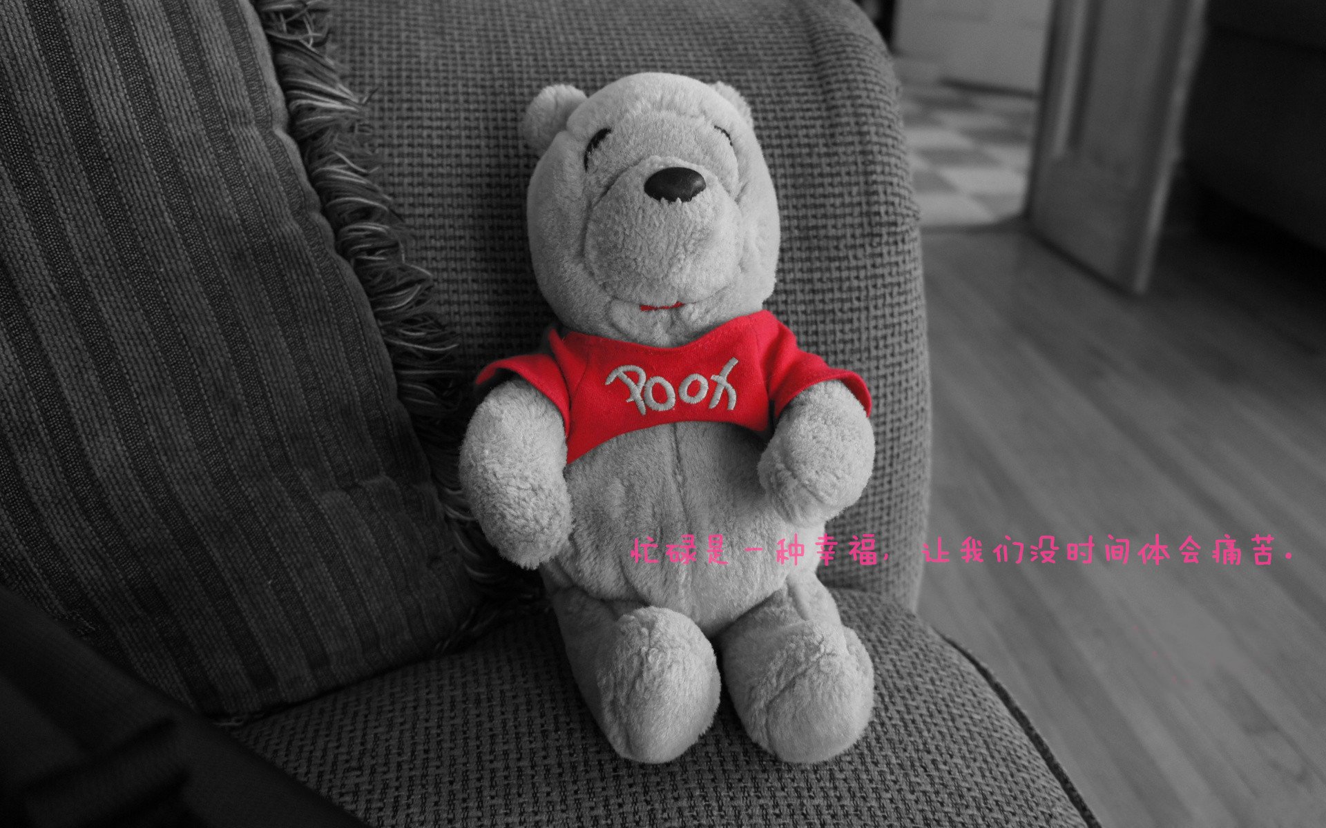 开云·体育官网APP下载-独行侠三分投篮训练引来球迷围观，独行侠队中锋