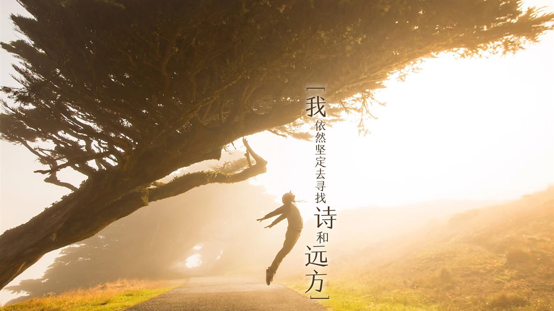 开云官方网站-莱德基稳扎稳打刷新个人最佳成绩，莱德基技术