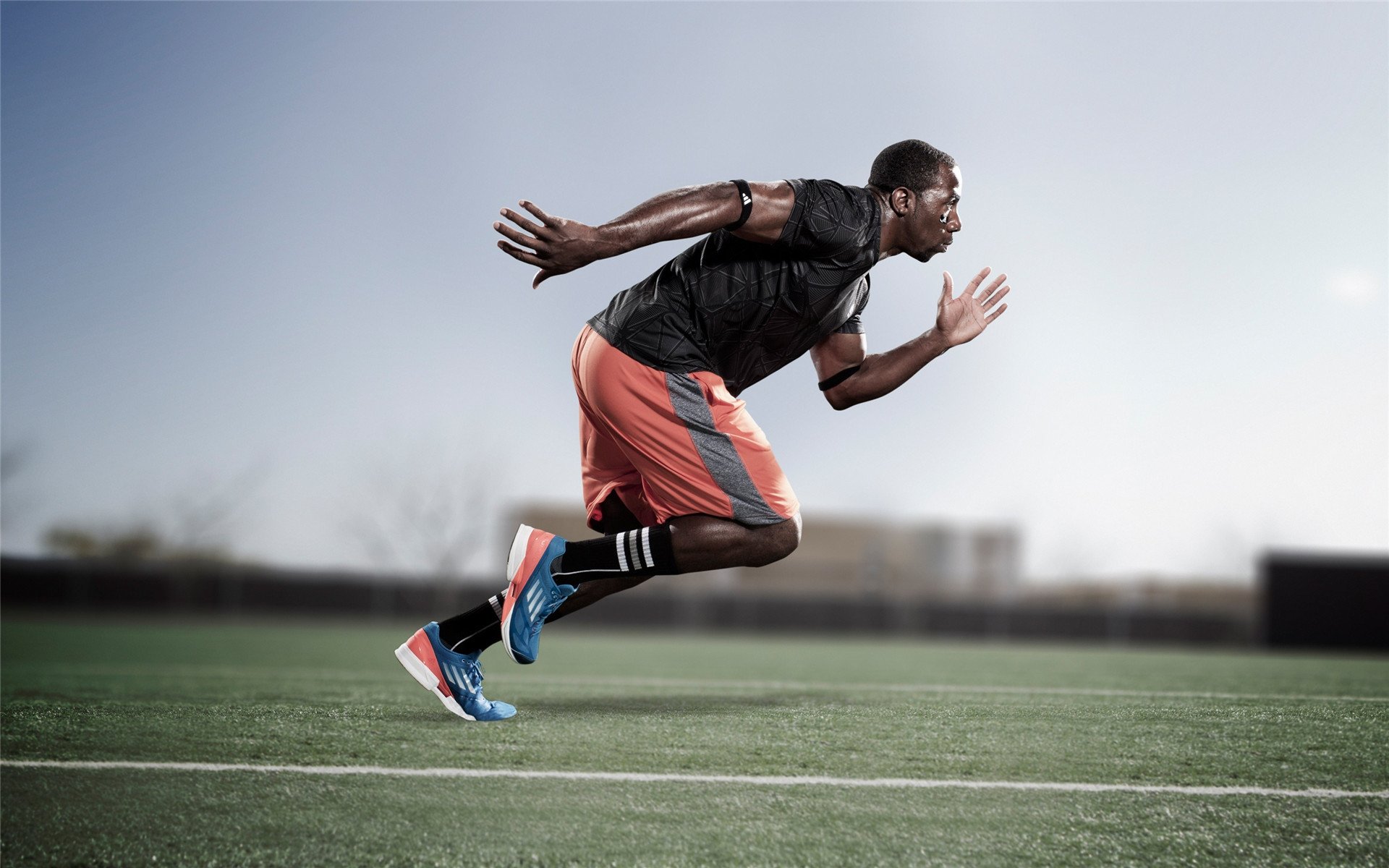 开云体育官网下载安装-_夜空星光马拉松：在星光中追逐梦想_，星空马场